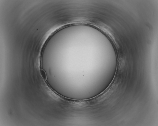 X0000113171288200909181824