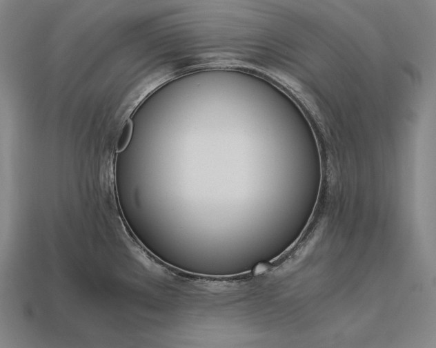 X0000113171289200909181824