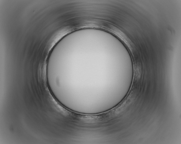 X0000113171290200909181824