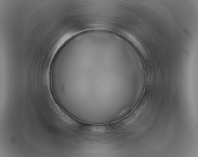 X0000113171291200909181824
