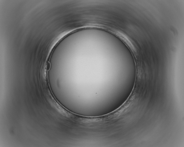 X0000113171292200909181824