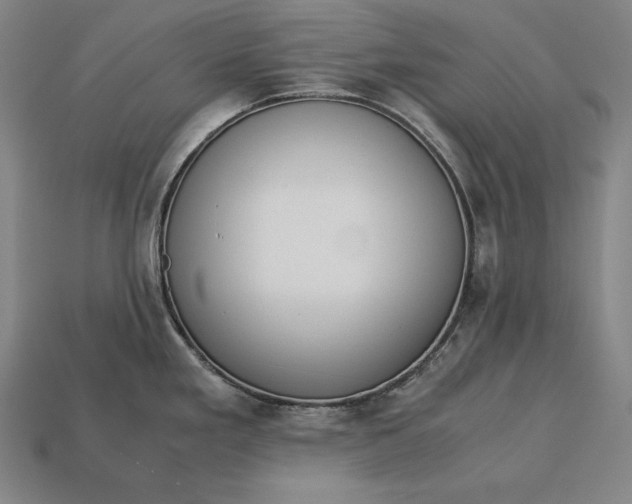 X0000113171293200909181824