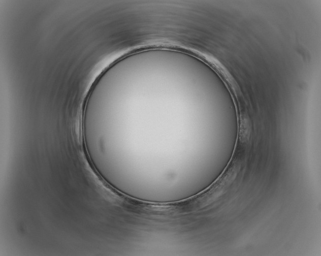 X0000113171295200909181824