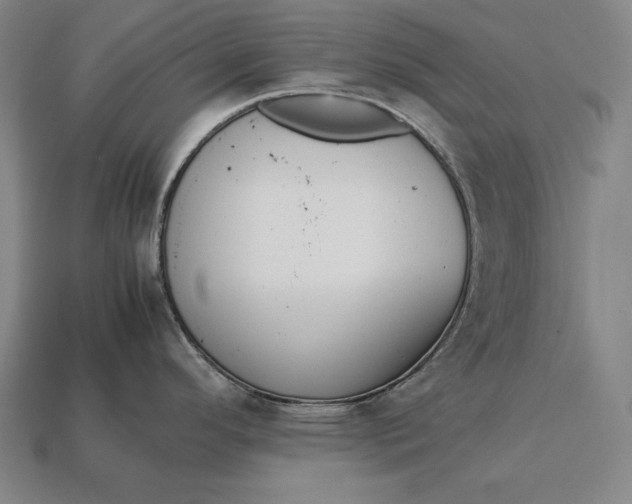 X0000113171296200909181824
