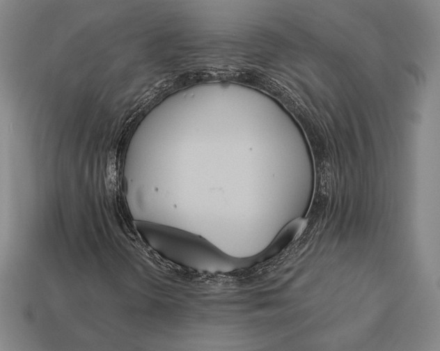 X0000113171298200909181823