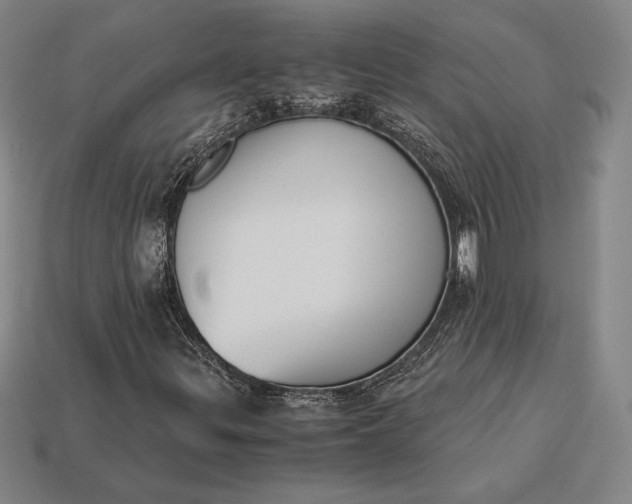 X0000113171299200909181823