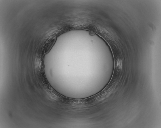 X0000113171300200909181823
