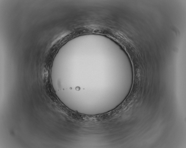 X0000113171302200909181823
