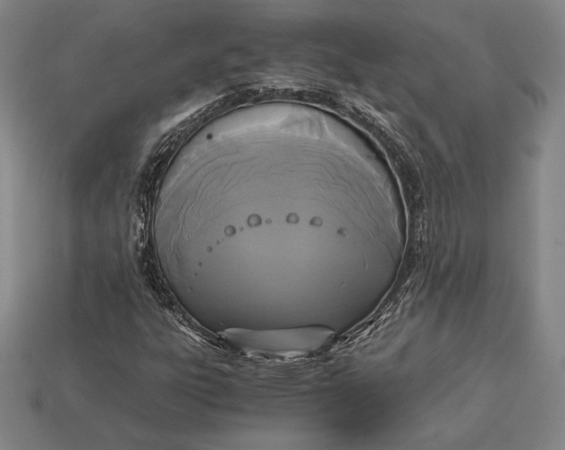 X0000113171303200909181823