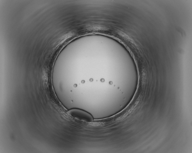 X0000113171305200909181823