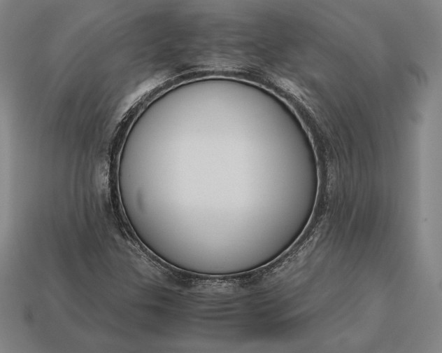 X0000113171307200909181823