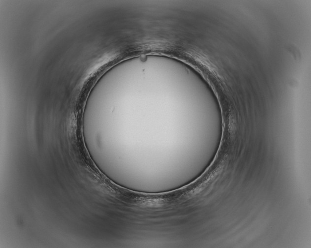 X0000113171309200909181823