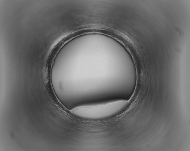 X0000113171310200909181823