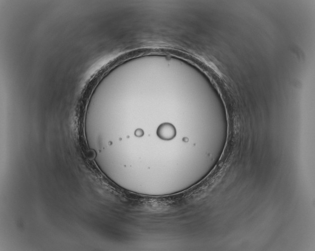X0000113171311200909181824