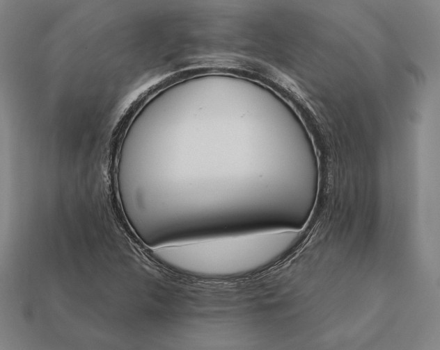 X0000113171312200909181824