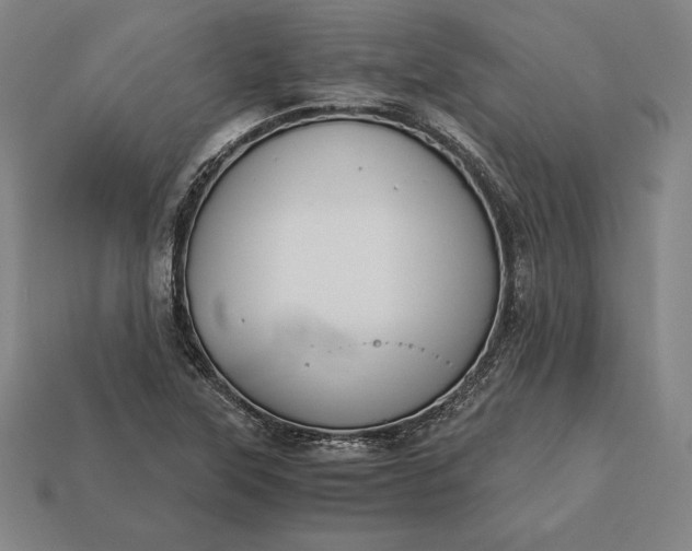 X0000113171315200909181824
