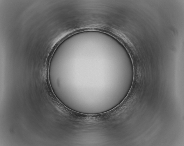 X0000113171316200909181824