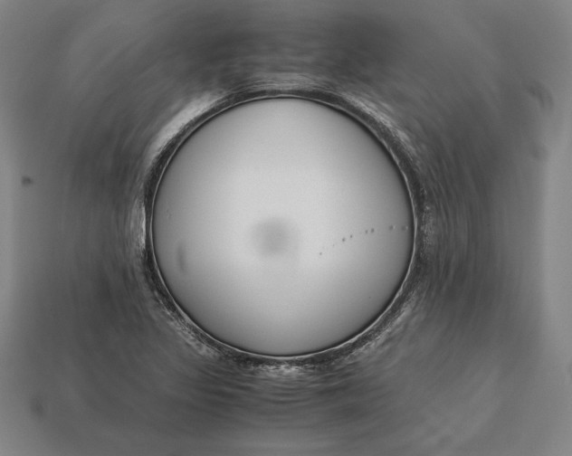 X0000113171317200909181824