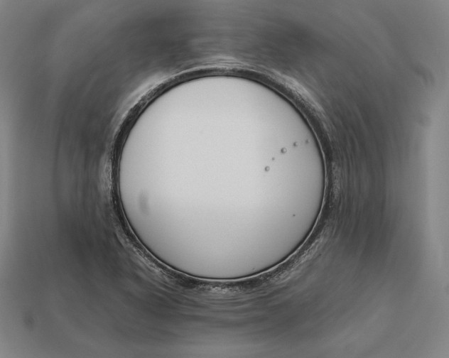 X0000113171318200909181824