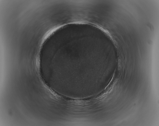 X0000113171319200909181824
