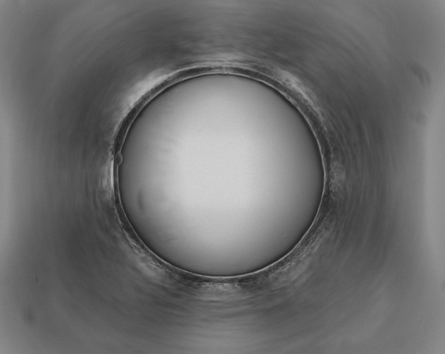 X0000113171320200909181824