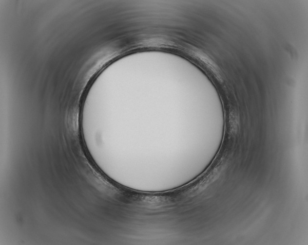X0000113171322200909181824