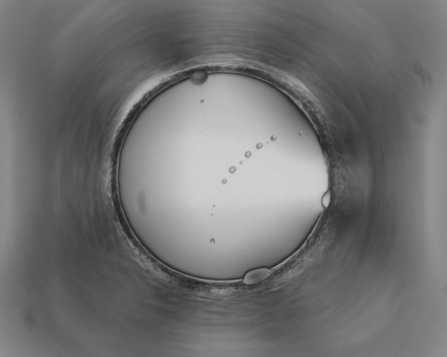 X0000113171326200909181824
