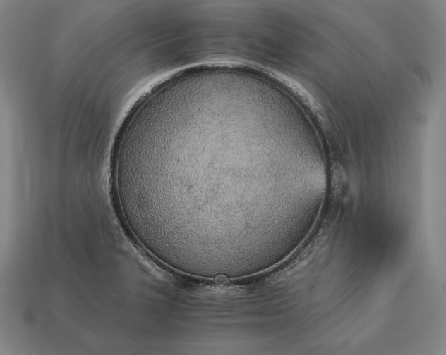 X0000113171327200909181824