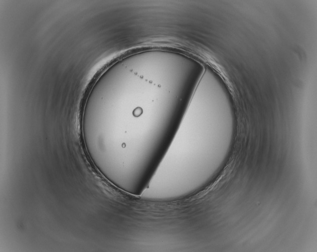 X0000113171328200909181824
