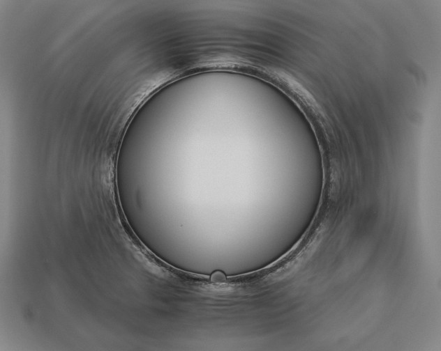 X0000113171329200909181824