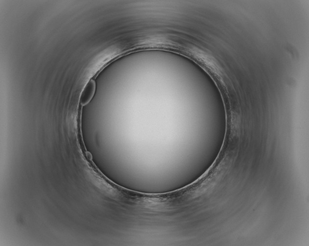 X0000113171330200909181824