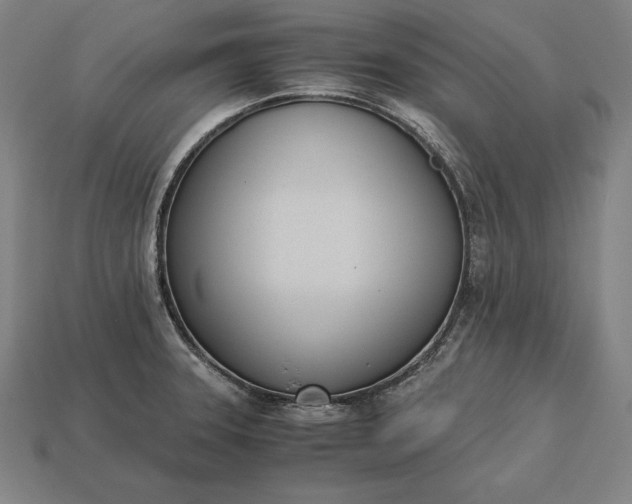 X0000113171331200909181824