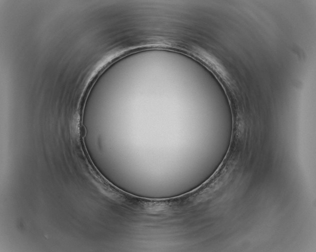 X0000113171332200909181824