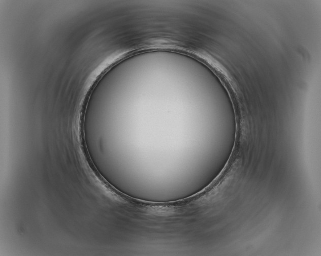X0000113171333200909181824