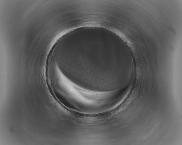 X0000113171334200909181824