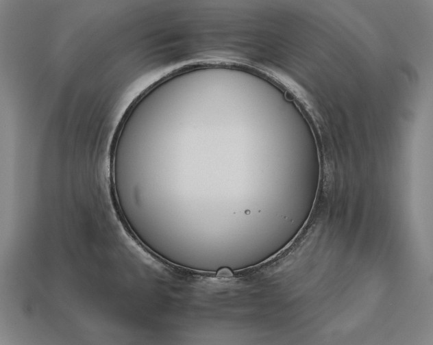 X0000113171335200909181824