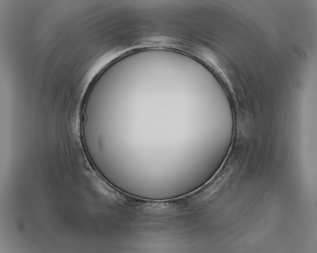 X0000113171336200909181824