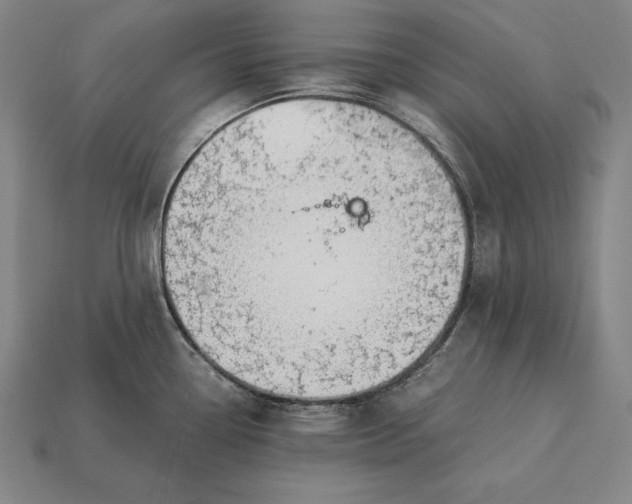 X0000113171338200909181824
