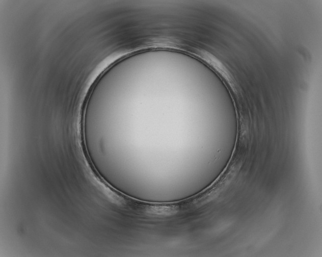 X0000113171339200909181824