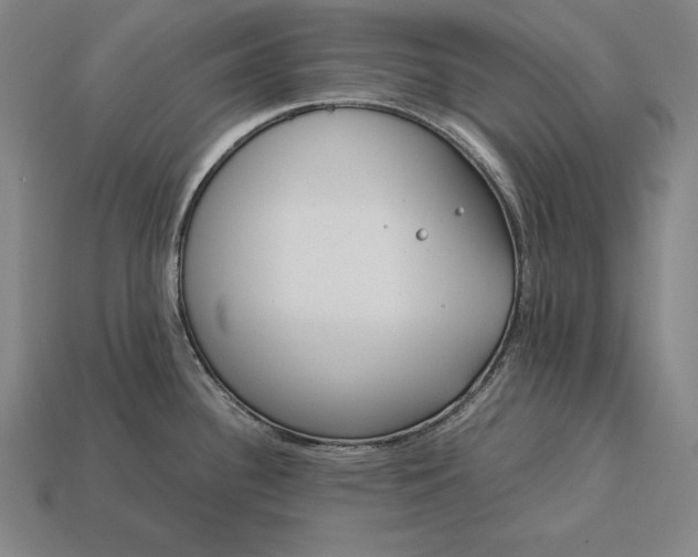 X0000113171340200909181824