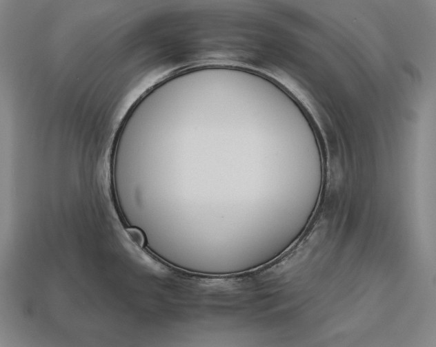 X0000113171341200909181824