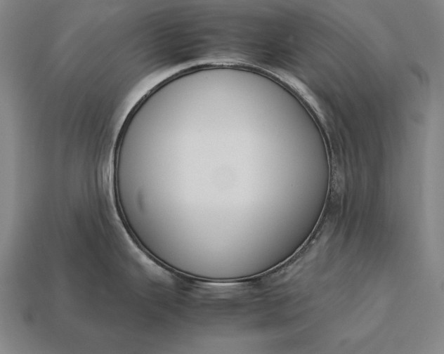 X0000113171343200909181824