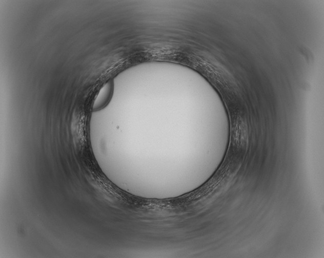 X0000113171346200909181823