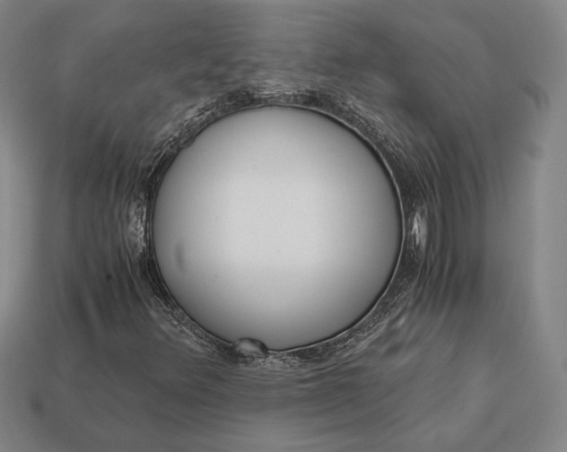 X0000113171348200909181823