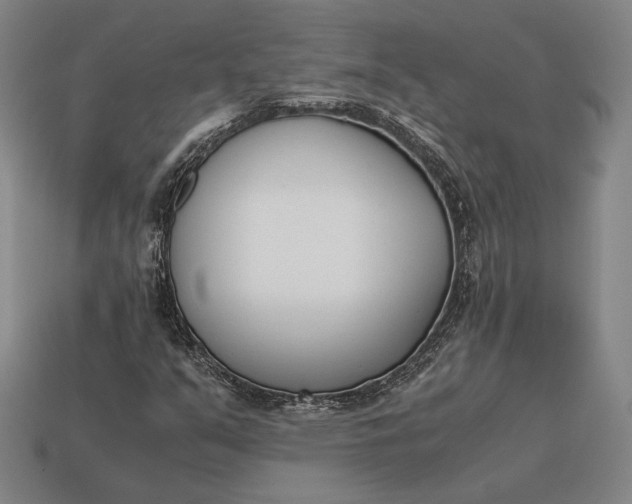 X0000113171351200909181823