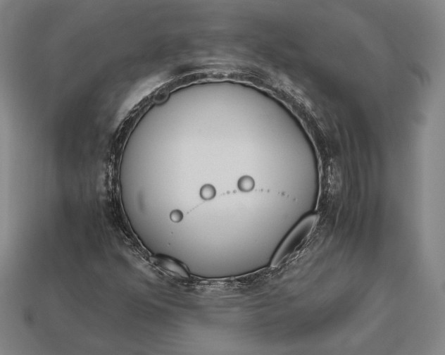 X0000113171352200909181823