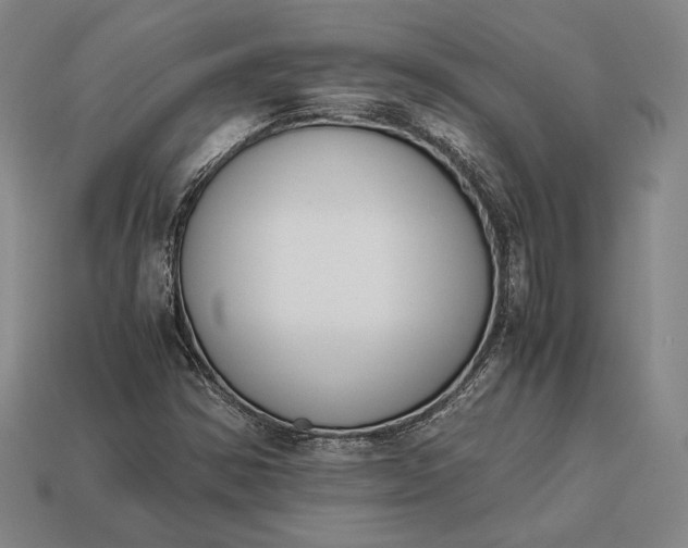 X0000113171354200909181823