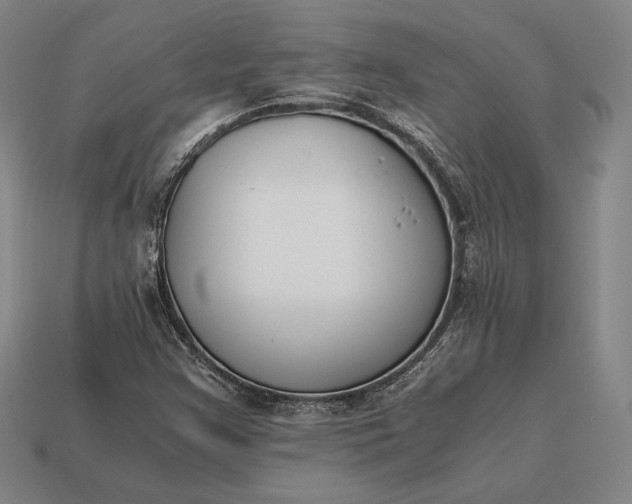 X0000113171355200909181823