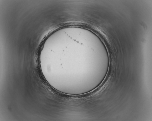 X0000113171357200909181823