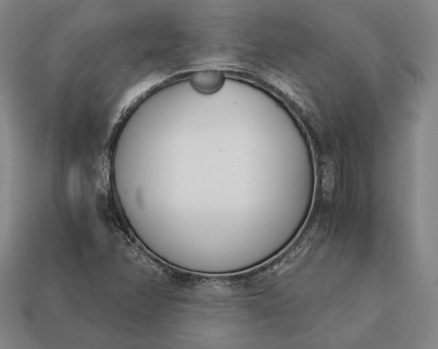 X0000113171358200909181823